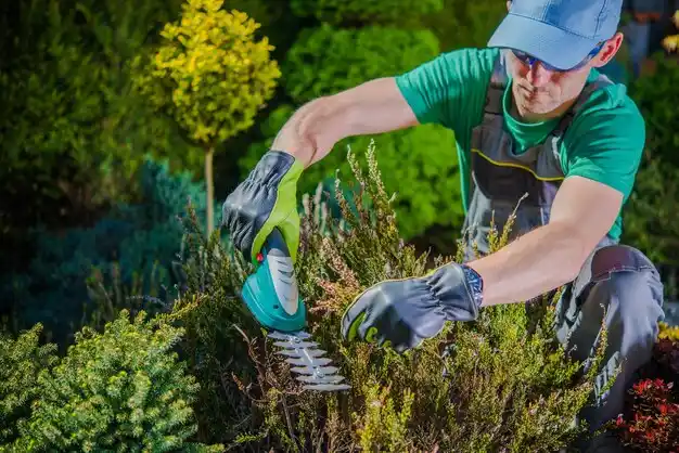 landscaping services Huntington Station
